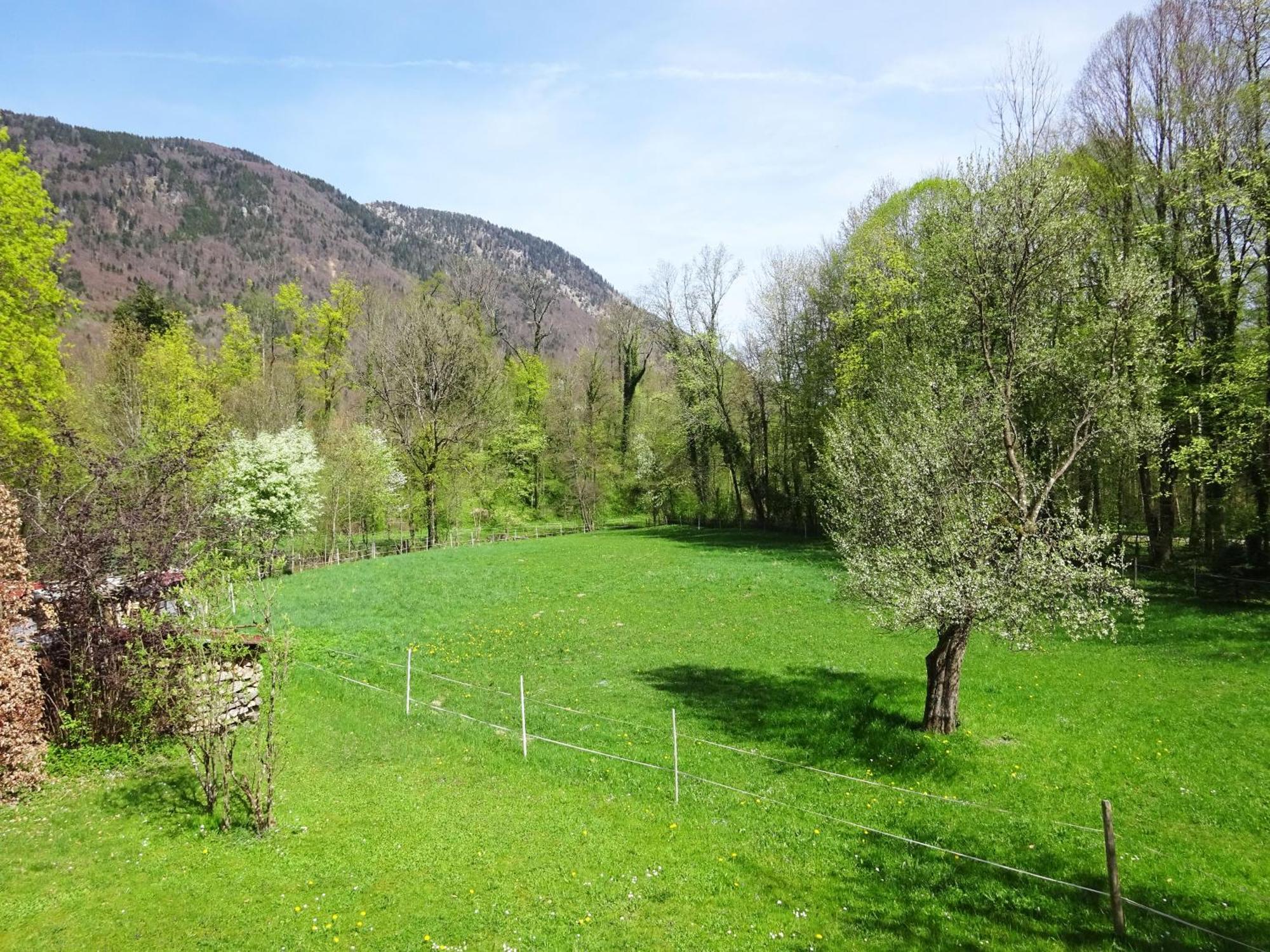 Ferienwohnungen Auhaus Bad Reichenhall Exterior photo